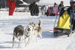 Lenk 2012 SM